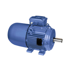 WEG電機是哪里的?