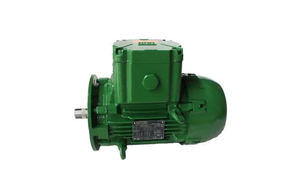 為什么要選擇防爆電機(jī)