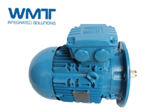 WEG電機(jī)人員簡(jiǎn)析如何應(yīng)對(duì)變頻器頻率調(diào)不上去的情況