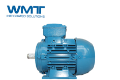 WEG電機掃描監(jiān)控引擎用來監(jiān)測電動機的可靠性