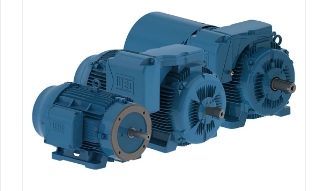 CIA卡諾伊納利用WEG設(shè)備促進(jìn)生產(chǎn)