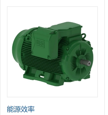 WEG與阿爾克馬簽署了提供高效率電機的協(xié)議