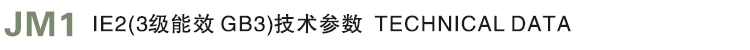 金龍高效電機參數(shù)