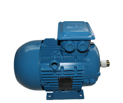 高壓電機(jī)過熱的問題怎么處理